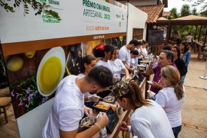Concurso do melhor azeite de oliva segue para a próxima etapa