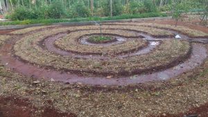 Novo Design: Já ouviu falar em horta mandala?