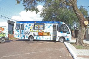 Setor de Bem-Estar Animal ultrapassa os 2 mil atendimentos em Cascavel
