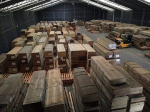 Ibama faz doação milionária de madeira nativa apreendida em Santa Catarina