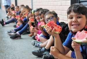 Mulheres agricultoras conquistam prioridade na venda de alimentos para merenda escolar