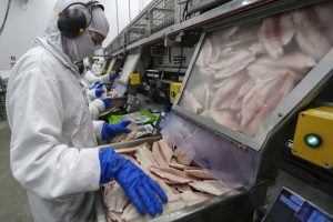 Piscicultores querem peixe na cesta básica dos brasileiros