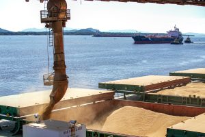 Transporte de grãos move Portos do Paraná e representa a maior fatia das operações