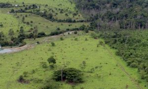 Atenção, produtor! Aberto o prazo para entrega da DIRT
