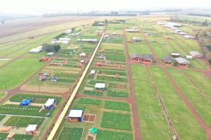 Show Rural de inverno é um mundo de oportunidades e conhecimento para o produtor