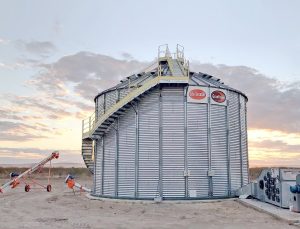 OPORTUNIDADE: Governo do Paraná libera R$ 250 milhões para construção de silos