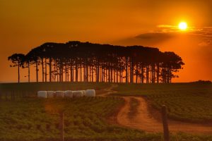 Paranaenses contam com ferramenta para acompanhar tempo e clima