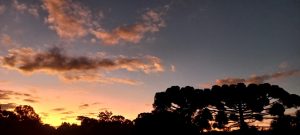 Sol predomina em todo o Paraná nesta quinta-feira