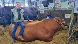Conheça Hudson, o touro mais pesado da Expointer
