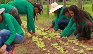 Agro gera 27% dos empregos do País e confirma a importância do campo