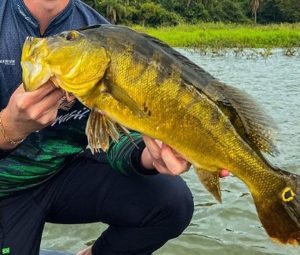 Será que vai dar peixe? Pesca Esportiva ao tucunaré vai reunir 250 equipes
