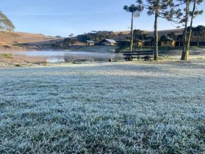 Frio intenso com geada é registrado no Rio Grande do Sul