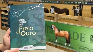 Figurinhas de cavalos crioulos encantam colecionadores