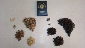 Mapa determina que alguns lotes de café sejam recolhidos por fraude e impurezas