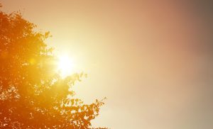 Inverno? Onda de calor atinge todo o Brasil e temperaturas vão superar os 40ºC