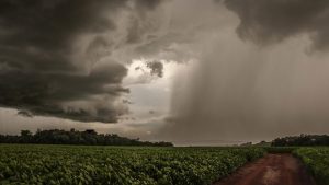Atenção produtor! Fique de olho nos cuidados para enfrentar intensificação do El Niño