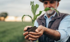 Crédito rural: R$ 101 bilhões já foram disponibilizados
