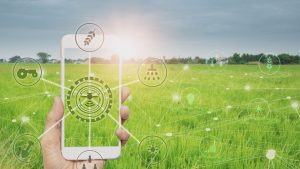 Programa Rural + Conectado é criado para garantir mais acesso à internet no campo