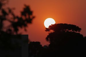 Ano de 2023 foi o mais quente da série histórica no Brasil