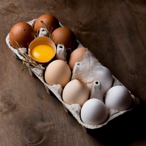 Super-proteína é opção mais saudável para humanos e meio ambiente