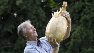 Impressionante: cebola de 9kg pode entrar para o livro dos recordes