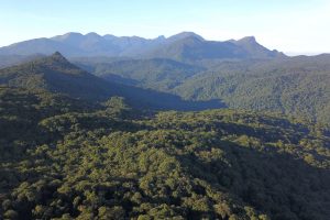 Oeste têm menores taxas de emissão de dióxido de carbono do PR