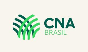 “O fim do marco temporal pode expropriar milhares de famílias no campo”, diz CNA sobre julgamento do STF