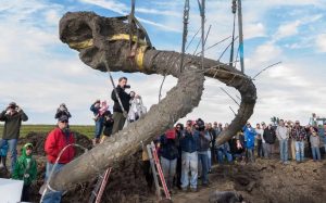Incrível: agricultores encontram esqueleto de Mamute de 15 mil anos