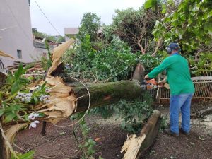 Temporais causam destruição no Paraná e apagão em propriedades rurais