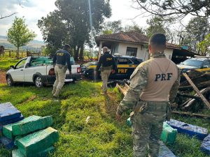 Maconha no sítio: polícia encontra mais de 1,3 tonelada enterrada em propriedade