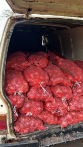 PF apreende vans carregadas com milhares de cebolas contrabandeadas