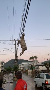 Ovelha fica pendurada em fiação elétrica após ciclone no Rio Grande do Sul