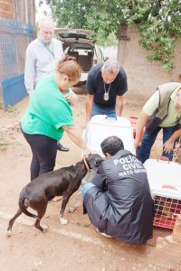Polícia Civil resgata cães em situação de maus-tratos; animais estavam confinados