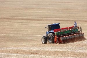 Calor e falta de chuva interrompem plantio e atrapalham controle de pragas