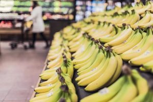 Banana em alta! São Paulo é líder nacional e Santa Catarina incentiva produção