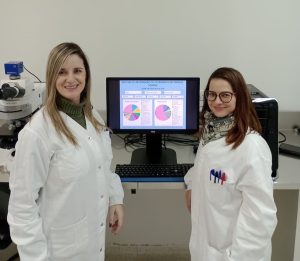 Sistema promete informações atualizadas sobre ocorrência de pragas no Paraná