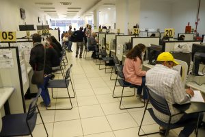 Agro que emprega: mais de três mil vagas de trabalho estão abertas no setor no Paraná