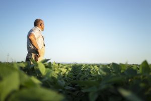 Encontrar mão de obra capacitada é uma dificuldade enfrentada pelos empresários do agro