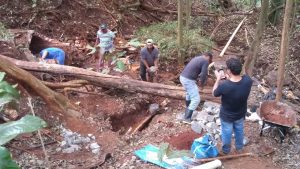 Paraná terá maior ação já realizada em proteção de nascentes do Brasil