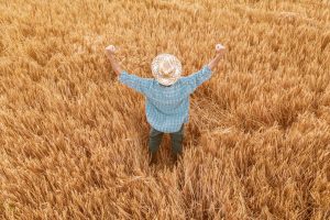 Mais um recorde: agronegócio é um dos setores que mais gera emprego no Brasil
