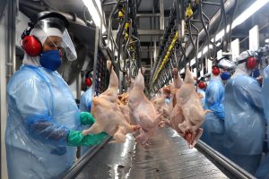 Com menor oferta, preço do frango sobe pelo quarto mês seguido