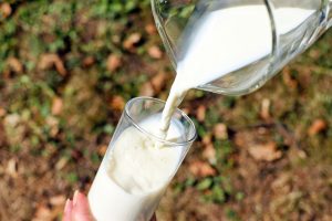 Crise do leite: Cascavel perdeu cerca de 30% dos produtores em três anos