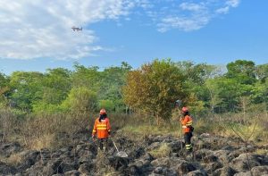 Bombeiros combatem incêndios em áreas do Pantanal