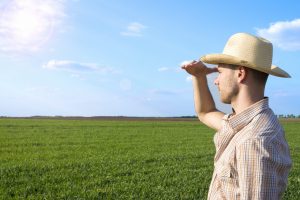 Deu ruim? Cuidado para não perder o seguro rural!