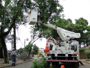Aumento de temporais causa cada vez mais danos na rede de energia elétrica