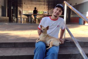 “Doguinhos estudantes”? Conheça os animais que agora são parte da rotina de escola no PR