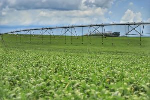 Em 2023 foram disponibilizados R$ 364,2 bilhões em crédito rural