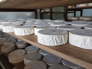 Papa Francisco recebe queijo Minas Artesanal
