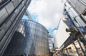 Produção de grãos cresce mais que silos