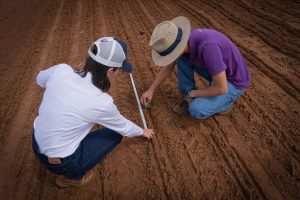 Desafio à vista: com El Niño, planejamento será essencial aos produtores no novo ciclo da soja